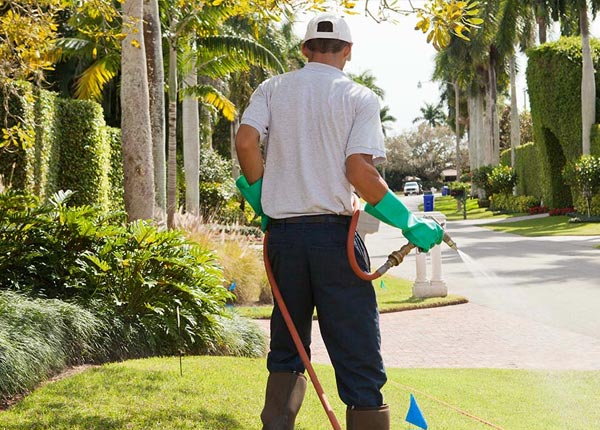 About Nevada City CA Pest Control